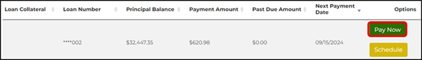 Image showing where they pay now button is in the application